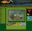 Web design, , Birds In Bulgaria.org