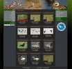 Web design, , WildLife Photos