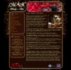 Web design, , Max Beauty & Spa
