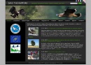 Web design, , BSPB- Project 